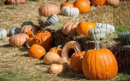 一诺台下吃瓜,揭秘娱乐圈幕后趣闻