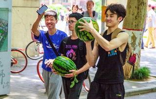 吃瓜吃到学校,揭秘校园里的那些“吃瓜”趣事