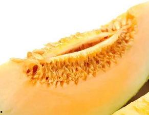 吃胃药可以吃蜜瓜吗,安全食用的注意事项