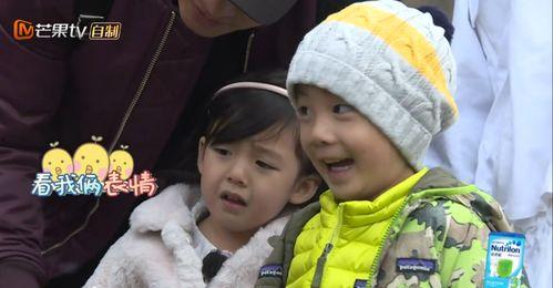 吃瓜芒果台,娱乐圈幕后真相大曝光