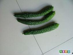 菜园吃瓜小技巧,轻松掌握小技巧,夏日美味尽享