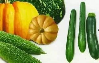 叶风在线吃瓜,揭秘娱乐圈幕后故事