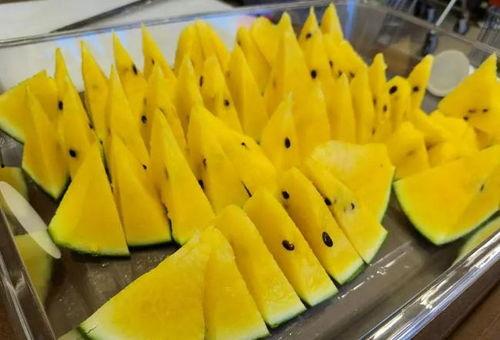 九姨太吃瓜,揭秘娱乐圈幕后风云