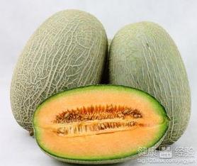 去瓜洲吃哈密瓜怎么样,尽享哈密瓜的甜蜜诱惑