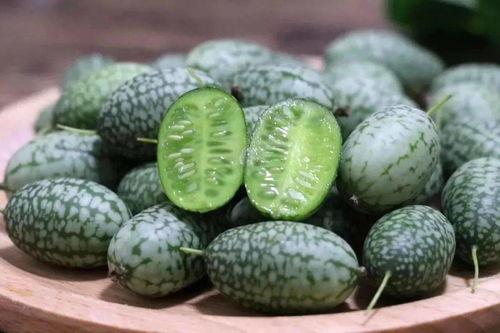 银瓜要怎么吃,探索银瓜的多样食用方法