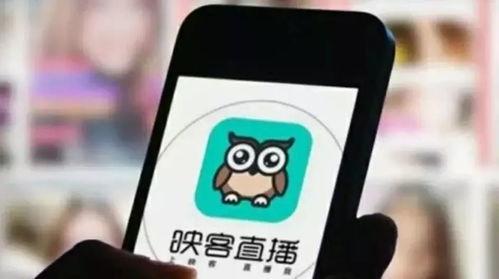 映客吃瓜墙,揭秘网红圈幕后故事