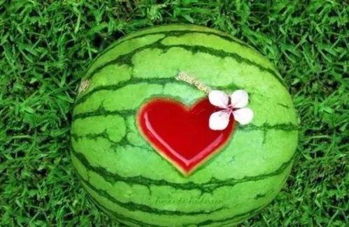 吃瓜方法,揭秘吃瓜达人独门秘籍