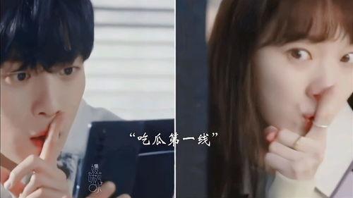 吃瓜夫妻实录小说,揭秘娱乐圈背后的甜蜜与酸涩