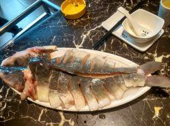 吃瓜捞鱼,吃瓜捞鱼，畅享田园乐趣