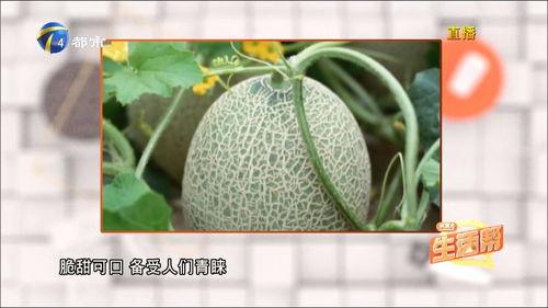 人人吃瓜网站,人人吃瓜网站带你领略网络舆论风云