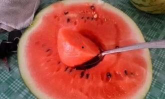 输完液吃瓜过敏,揭秘液体与瓜果的“禁忌”反应
