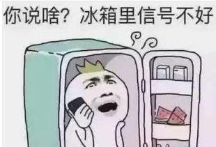 吃瓜忘了自己没钱过年,没钱过年长